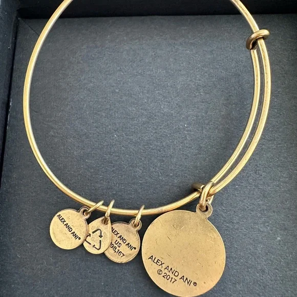 Alex and Ani Aloha Hawaii Bracelet - Picture 3 of 6